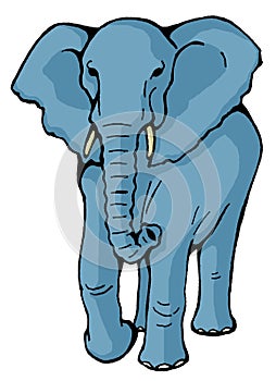 Elephant