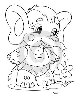 Elephant