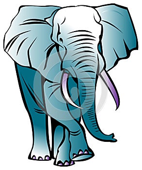 Elephant