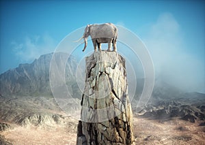 Elephant admiring the landscape