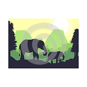 Elephant animal silhouette forest mountain landscape design vector illustration