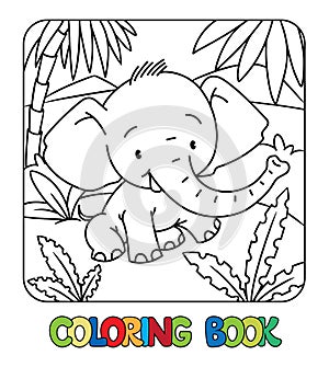 Elephant. Animals ABC coloring book for kids