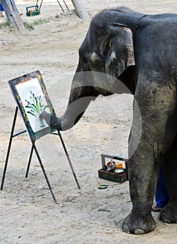 Elephant artist painting