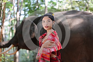 Elephant with Asian girl