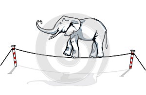 Elephant balancing