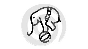 elephant balancing on ball black icon animation