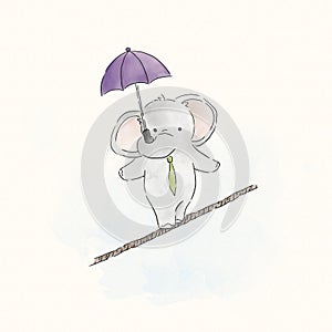 Elephant balancing on a rope