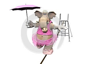 Elephant balancing on a wire.