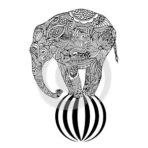 Elephant on ball