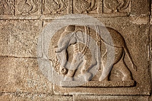 Elephant basrelief in Hampi