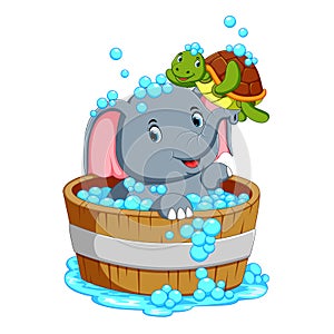 An elephant is bathing and playing with a turtle taht is very pleasant