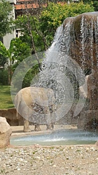 Elephant bathing in a waterfall.