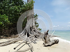 Elephant Beach, Hancock Island, Adaman, India