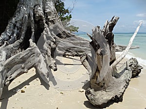 Elephant Beach, Hancock Island, Adaman, India