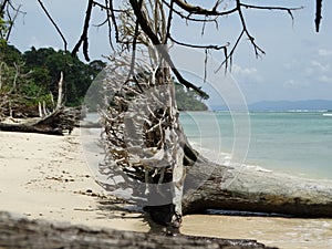 Elephant Beach, Hancock Island, Adaman, India