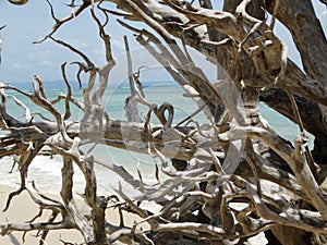 Elephant Beach, Hancock Island, Adaman, India