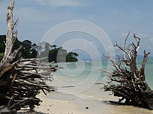 Elephant Beach, Hancock Island, Adaman, India