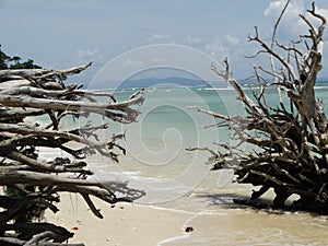 Elephant Beach, Hancock Island, Adaman, India