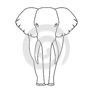 The elephant, the biggest wild animal. African elephant with tusks single icon in outline style vector symbol stock