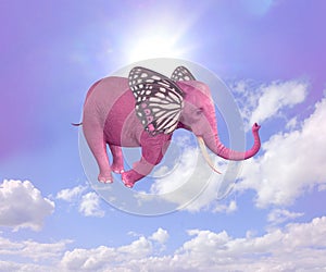 Elephant butterfly flying in the sky.