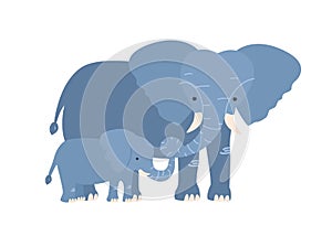 Elephant with calf isolated on white background. Family of wild African savannah herbivorous animals. Adorable parent