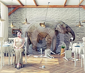 Elephant calm in a restaurant