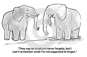 Elephant cannot remember what to forget photo