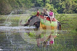 The elephant carries tourists and sprinkles water. Sri Lanka