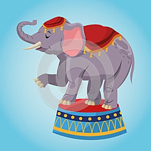 Elephant cartoon of circus