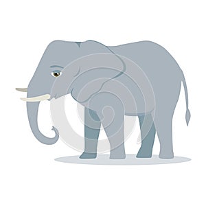 Elephant cartoon large mammal forest elephant asian elephant african bush with large ears vector illustration isolated