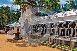 Elephant carvings at Maha Devale shrine at Kataragama, Sri Lanka