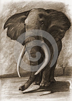 Un elefante 