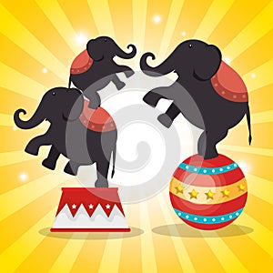 Elephant circus show icons