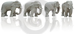 Elephant (Clipping Path)