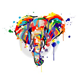 Elephant color, brush strokes and splashes, elephant face, vector illustration