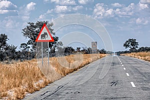 Elephant crossing with sign on the road in Namibia