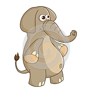 Elephant. Cute Young Elephant isolated on white background. Zoo animal cartoon character. Education card for kids learning animals