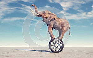 Elephant dance on wheel. Horse power and speed concept. T