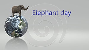 Elephant day. World elephant day at zoos.