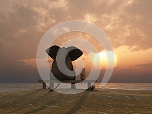 Elephant and dog sit on a beach photo