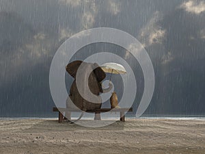 Slon a pes sedieť dážď 