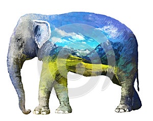 Elephant double exposure illustration