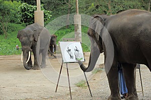 An elephant is drawing a picture