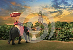 Elephant dressing with thai kingdom tradition accessories standing in front of old pagoda in Ayuthaya world heritage site use for