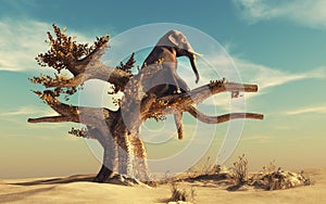 Elephant in a dry tree