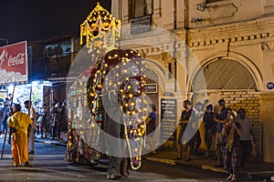Elephant at the Esala Perahera festival in Kandy