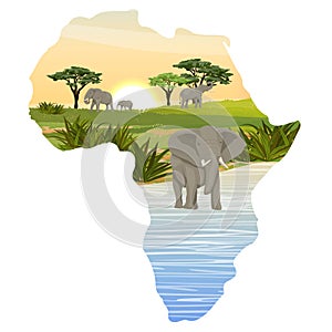 Elephant family in the African savannah. Lake, watering place. Realistic vector landscapes in the form of a map of the continent o