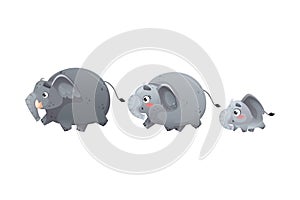 Elephant Family with Parent and Sweet Baby Walking Together Vector Illustration