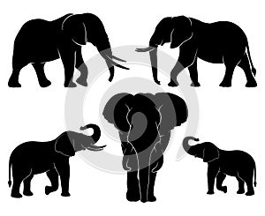 Elephant family. Set of silhouettes of elephants. Vector illustration on white background