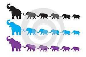 Elephant family walk